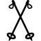 Палички лижні