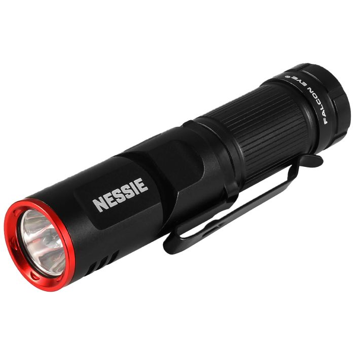Фонарь тактический Falcon Eye Nessie (500 Lm) Magnetic Rechargeable Type-C (FHH0140)