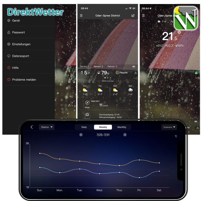 Метеостанция Technoline DirektWetter WD2000 Silver (WD2000)