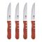 Набір ножів для стейків Bergner Bbq lovers 4 предмети (BG-40201-MM)
