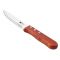Набір ножів для стейків Bergner Bbq lovers 4 предмети (BG-40201-MM)