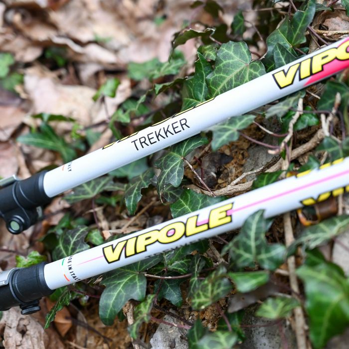 Палиці трекінгові VipoleTrekker Violet (S25 11)