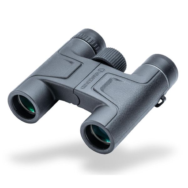 Бинокль Vanguard Vesta 10x25 WP