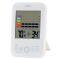 Термогигрометр Technoline WS9422 White (WS9422)
