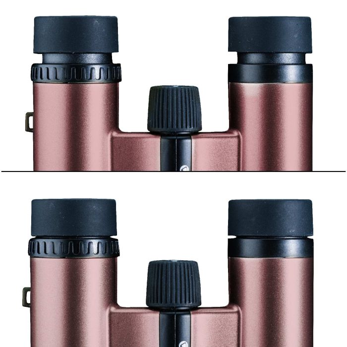 Бинокль Vanguard Vesta Compact 8x21 WP Rose Gold (Vesta 8210 Rose)