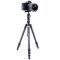 Штатив Vanguard Vesta TB 204CB (Vesta TB 204CB)