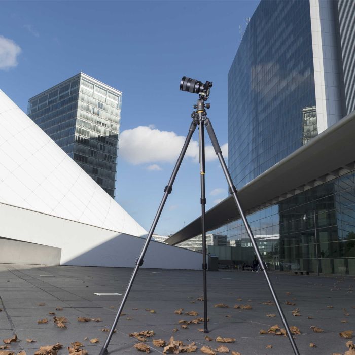 Штатив Vanguard Alta Pro 2+ 263AB 100 (Alta Pro 2+ 263AB 100)