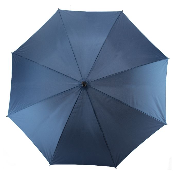 Зонтик Semi Line Blue (L2037-1)