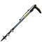 Палка трекинговая Vipole Walker (S25 20)