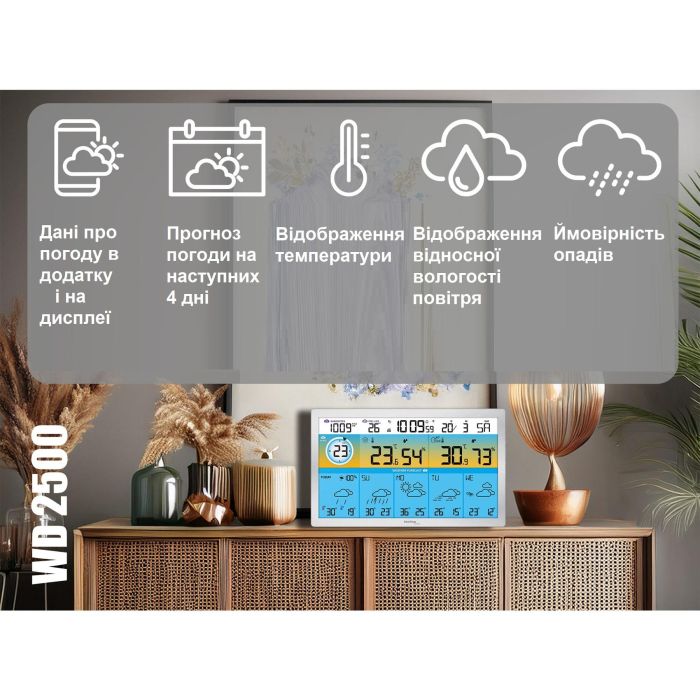 Метеостанція Technoline DirektWetter WD2500 Silver (WD2500)