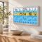 Метеостанція Technoline DirektWetter WD2500 Silver (WD2500)
